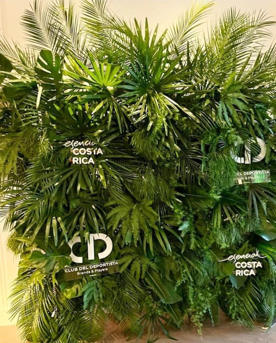 Muro vegetal con palmas y helechos naturales montado para un evento de marca