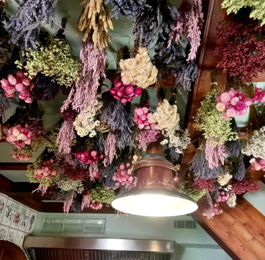 Techo de un local decorado con ramos de flor seca en tonos lavanda y rosa